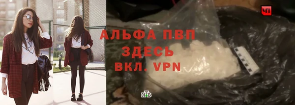spice Медвежьегорск