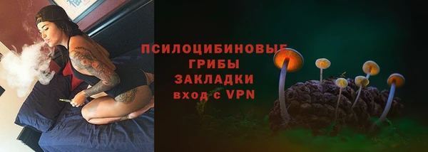 spice Медвежьегорск